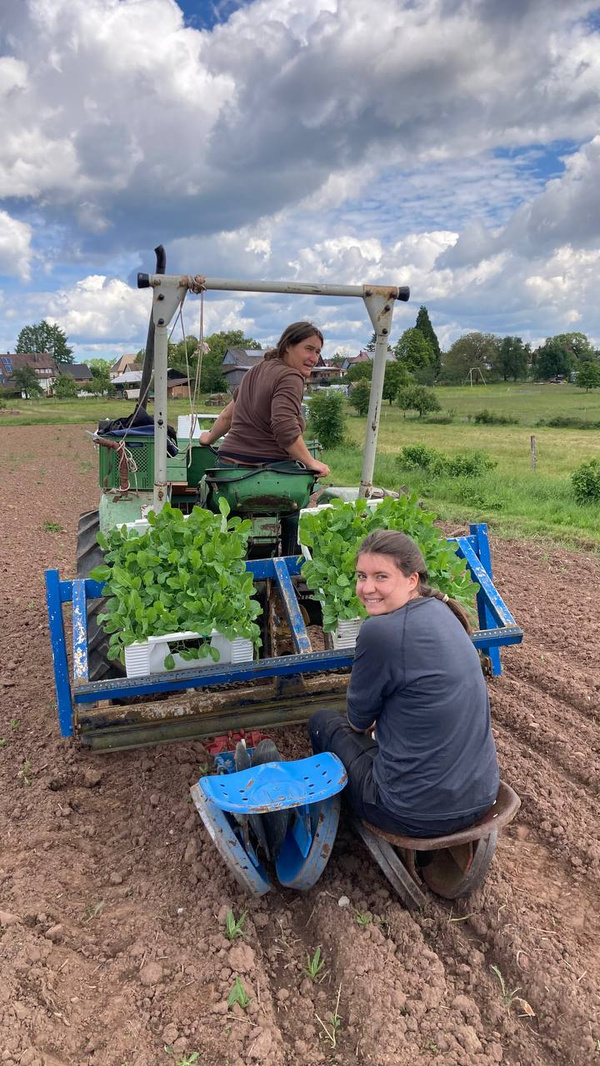 KI generiert: Das Bild zeigt zwei Personen, die auf einem Acker arbeiten, wobei eine Person auf einem Traktor sitzt und die andere auf einem Anhänger mit Setzlingen sitzt. Im Hintergrund sind Wiesen und eine Ortschaft zu sehen.
