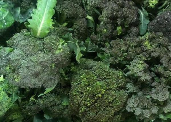 Produktfoto zu Brokkoli HBH