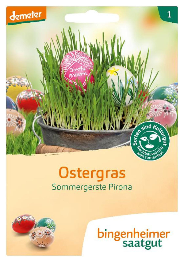 Produktfoto zu Saatgut Ostergras