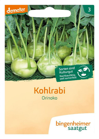 Produktfoto zu Saatgut Kohlrabi, weiß Noriko