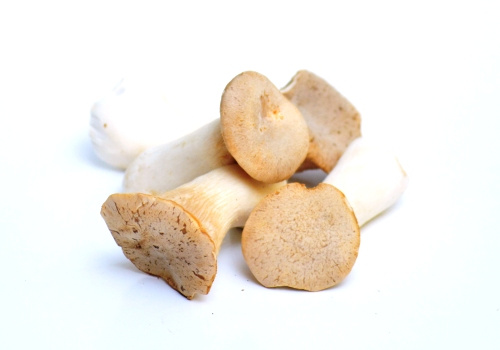 KI generiert: Mehrere Königsausternpilze liegen auf weißem Hintergrund.