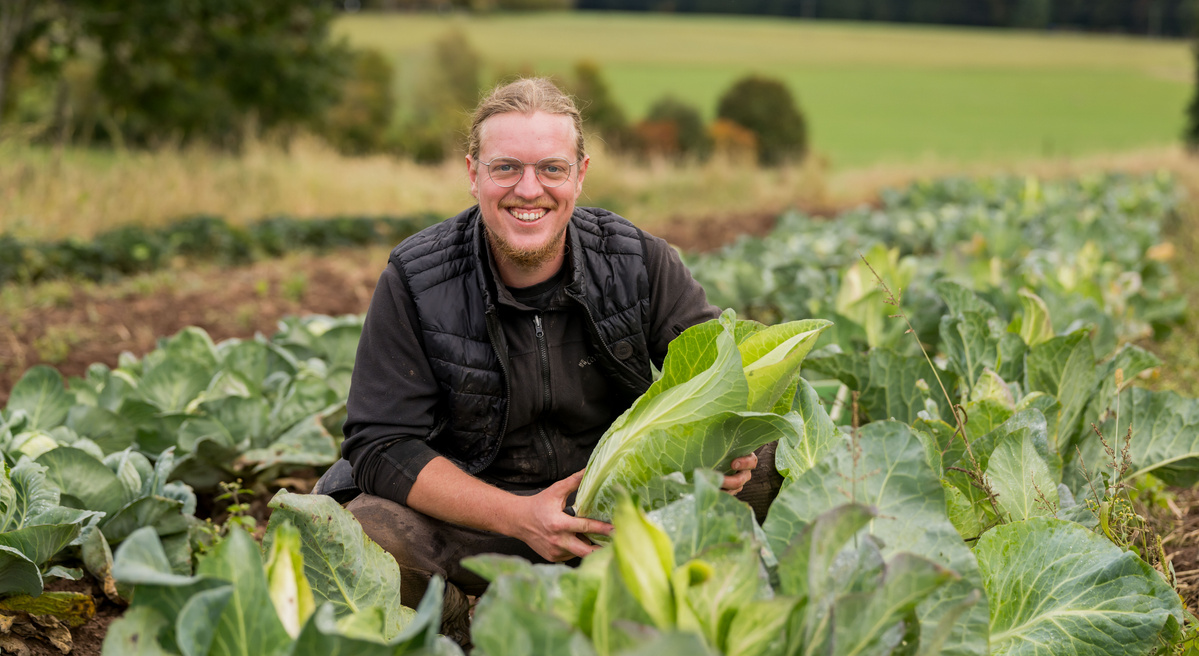 KI-generierte Beschreibung: Ein Mann hält eine große Salatpflanze in einem Feld.