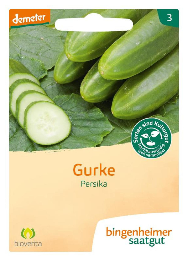 Produktfoto zu Saatgut Freilandgurken Persika