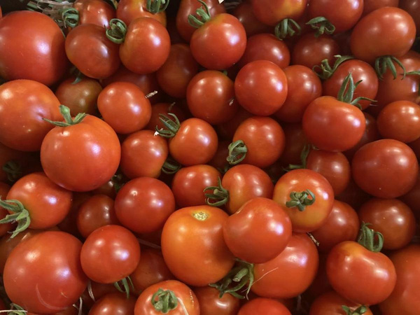 Produktfoto zu Tomaten Mix HBHsf