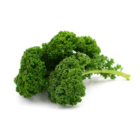 KI generiert: Grünkohl auf weißem Hintergrund, frisches grünes Gemüse mit gekräuselten Blättern.