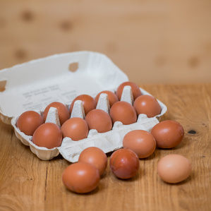 eier in Eierschachtel