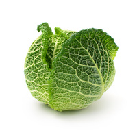 KI generiert: Ein frischer Wirsingkohl vor weißem Hintergrund.