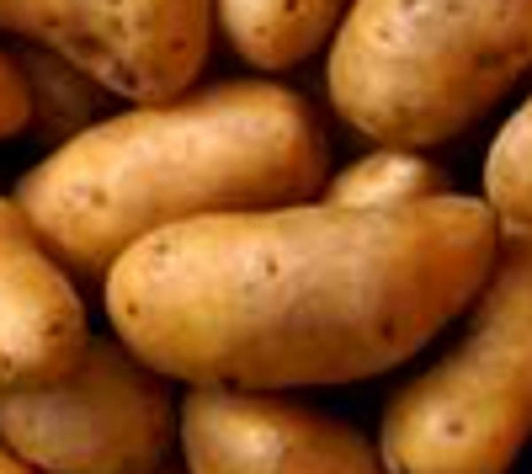 Produktfoto zu Kartoffeln vfk Otolia HBH