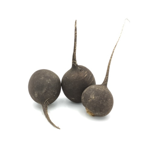 KI generiert: Drei schwarze Radi-Knollen auf weißem Hintergrund.