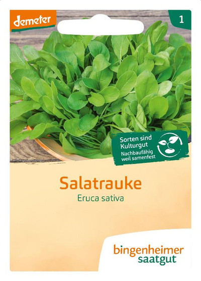Produktfoto zu Saatgut Salatrauke Rucola