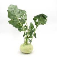 KI generiert: Ein Kohlrabi mit grünen Blättern vor weißem Hintergrund.