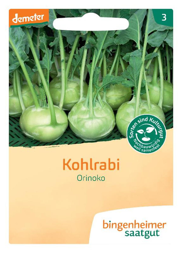 Produktfoto zu Saatgut Kohlrabi, weiß Noriko