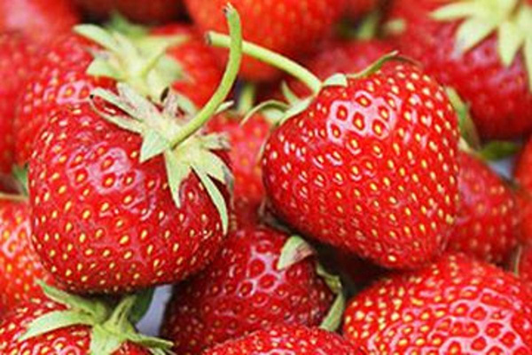 Produktfoto zu Erdbeeren 250g HBH