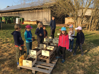 KI generiert: Das Bild zeigt eine Gruppe von Kindern, die draußen um Kisten mit Erde stehen, möglicherweise beim Pflanzen oder Gärtnern. Im Hintergrund ist ein landwirtschaftlicher Schuppen und einige Bäume zu sehen.