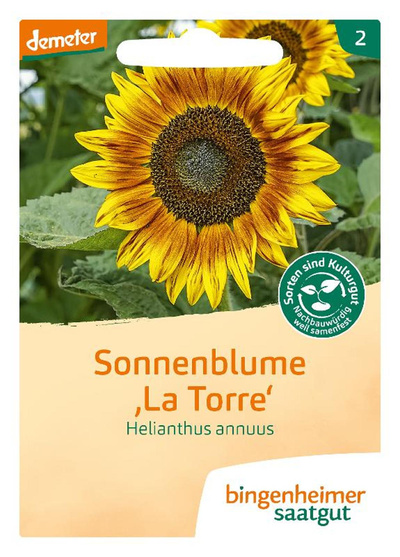 Produktfoto zu Saatgut Sonnenblume mehrblütig