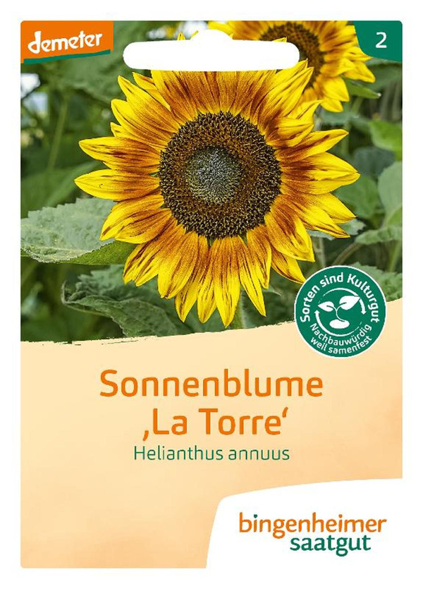 Produktfoto zu Saatgut Sonnenblume mehrblütig