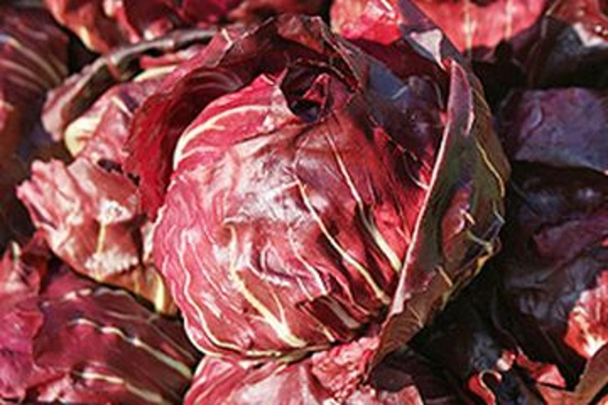 Radicchio HBH