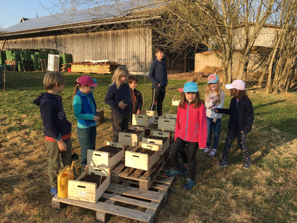 KI generiert: Das Bild zeigt eine Gruppe von Kindern, die draußen um Kisten mit Erde stehen, möglicherweise beim Pflanzen oder Gärtnern. Im Hintergrund ist ein landwirtschaftlicher Schuppen und einige Bäume zu sehen.