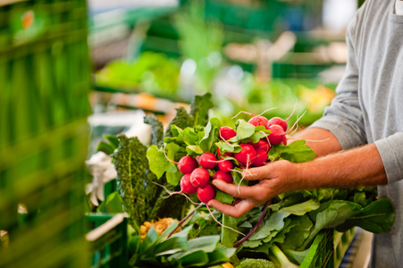 KI generiert: Das Bild zeigt eine Person, die auf einem Markt frische Radieschen in den Händen hält. Im Hintergrund sind weitere Gemüsesorten und grüne Kisten zu sehen.