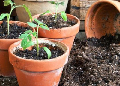 Produktfoto zu Öko-Universalerde ohne Torf 15ltr