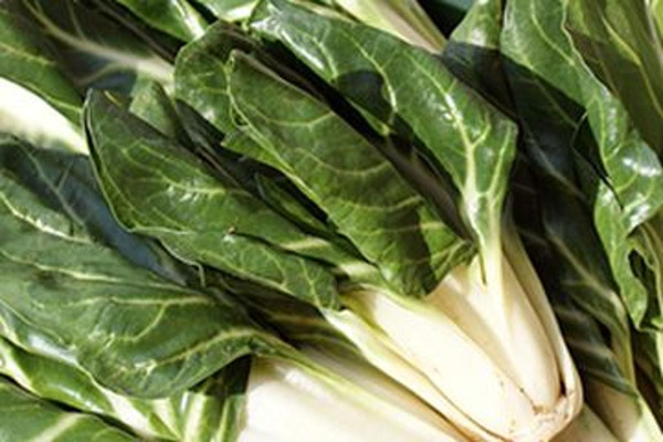 Produktfoto zu Mangold HBH,sf