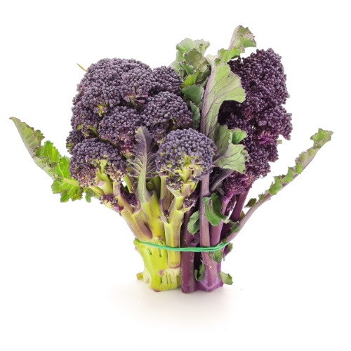 KI generiert: Ein Bund lila Brokkoli auf weißem Hintergrund.