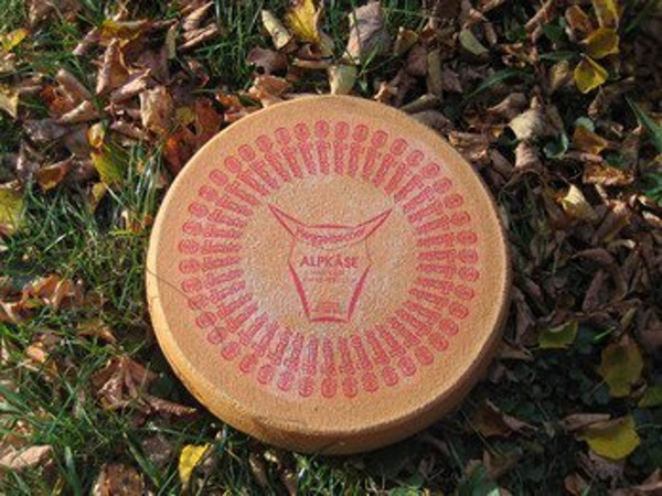 Produktfoto zu Alte Milch x Heggelbach 9 Monate gereift