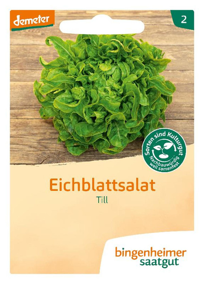 Produktfoto zu Saatgut Eichblattsalat_Pflücksalat Till