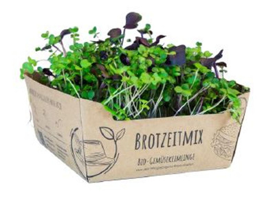 Produktfoto zu Microgreens Brotzeit Mix