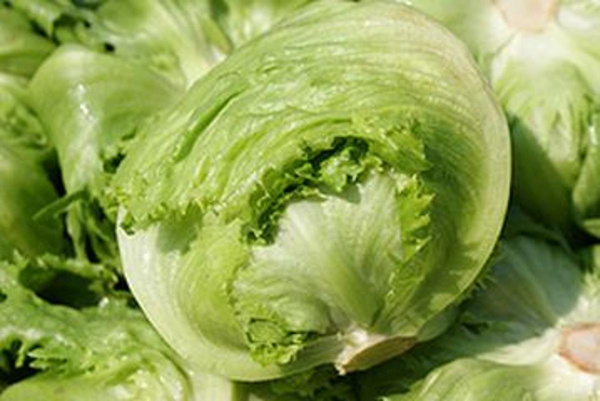 Produktfoto zu Eissalat grün