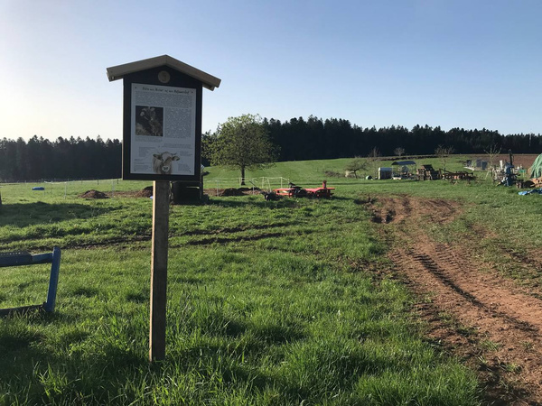 KI generiert: Das Bild zeigt ein Willkommensschild mit Informationen auf einem Hof, daneben hält eine Person einen Lageplan in der Hand. Das Schild hat einen Holzrahmen und darauf ist ein Bild von Kühen auf einer Weide abgebildet.
