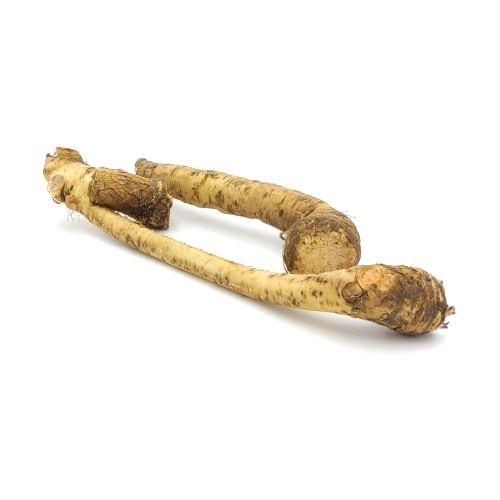 KI generiert: Zwei frische Meerrettichwurzeln auf weißem Hintergrund.