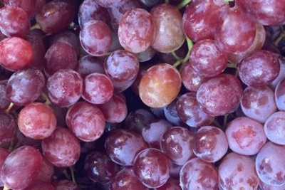 Produktfoto zu Traube kernlos
