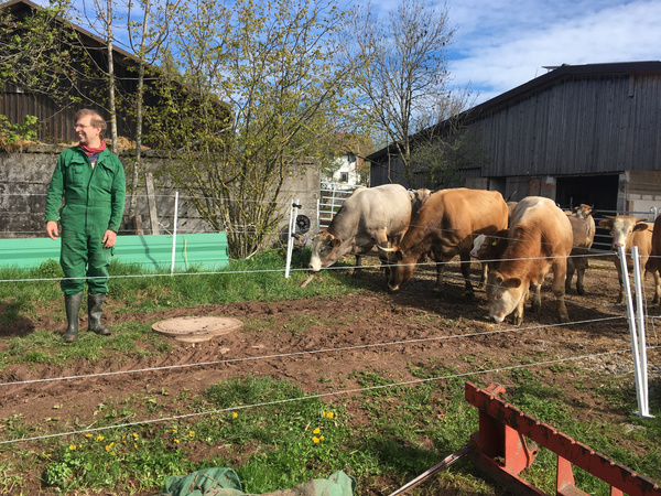 KI generiert: Das Bild zeigt eine landwirtschaftliche Szene, in der eine Person in grüner Kleidung neben mehreren Kühen auf einem Bauernhof steht. Die Hauptinhalte sind die Kühe auf einer eingezäunten Weide und der Mensch, der sie beobachtet.