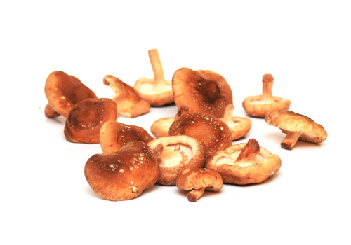 KI generiert: Frische Shiitake-Pilze auf weißem Hintergrund.