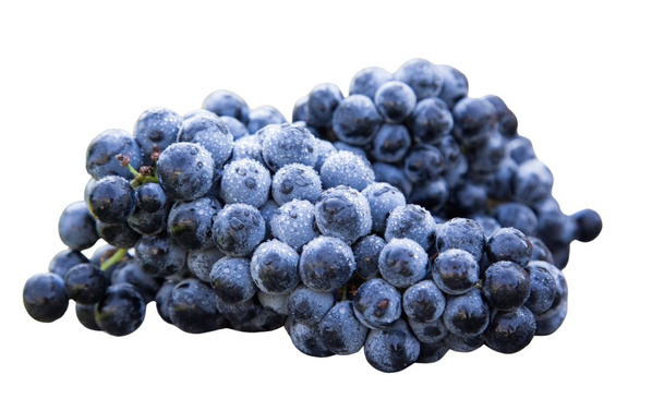 KI generiert: Mehrere dunkelblaue Weintrauben mit Tautropfen auf weißem Hintergrund.