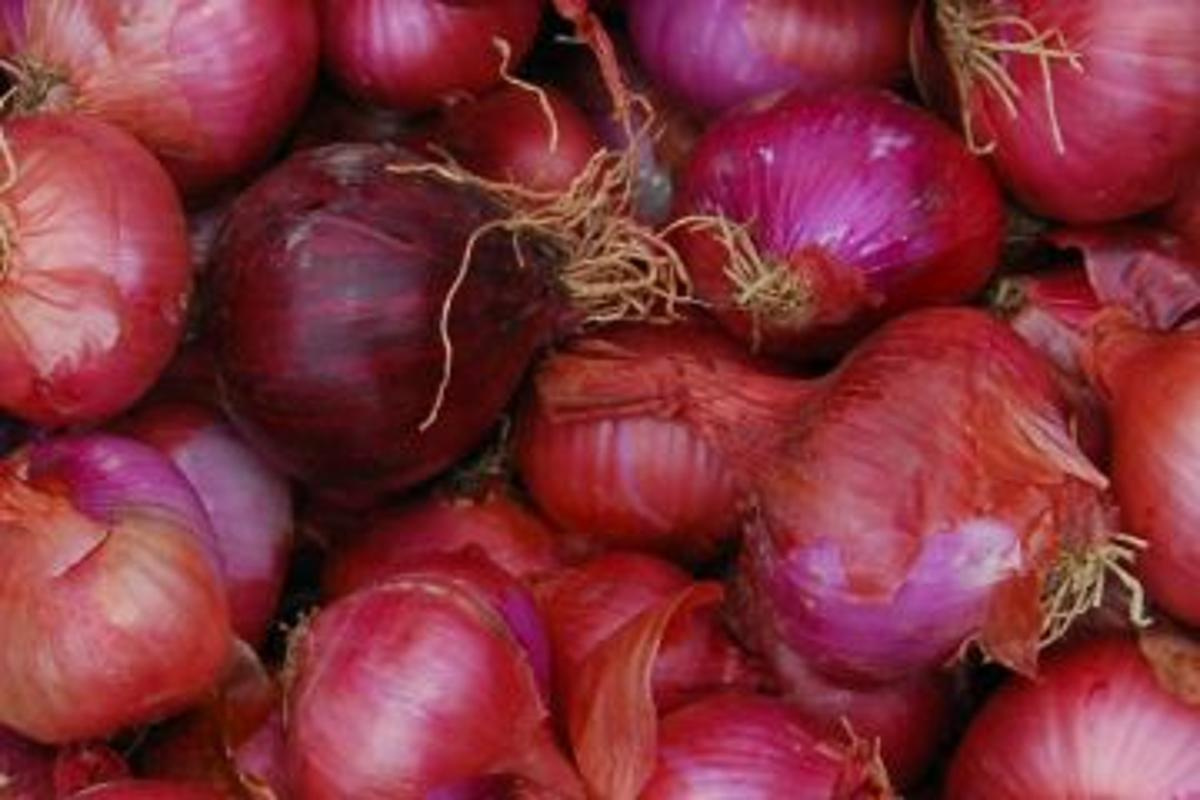 Zwiebeln rot