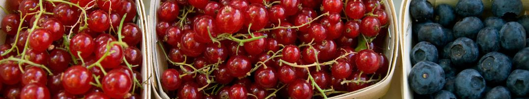 KI generiert: Körbe mit roten Johannisbeeren und Blaubeeren in Nahaufnahme.