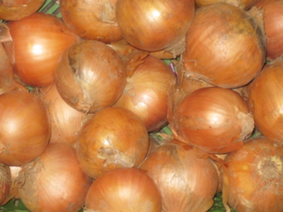 Zwiebeln HBH