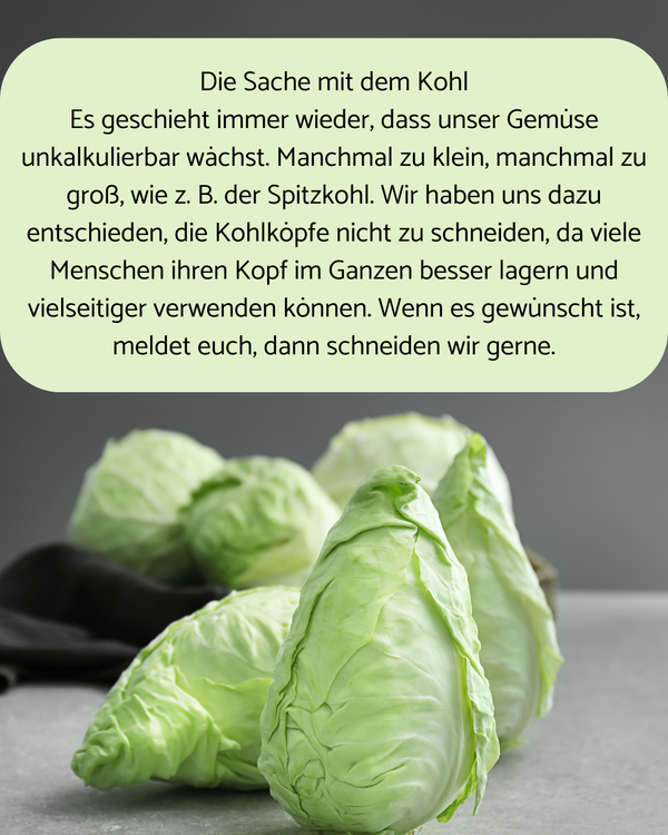 KI generiert: Drei Kohlköpfe und ein Text über die Lagerung und Größe des Kohls. Text: "Die Sache mit dem Kohl ...".