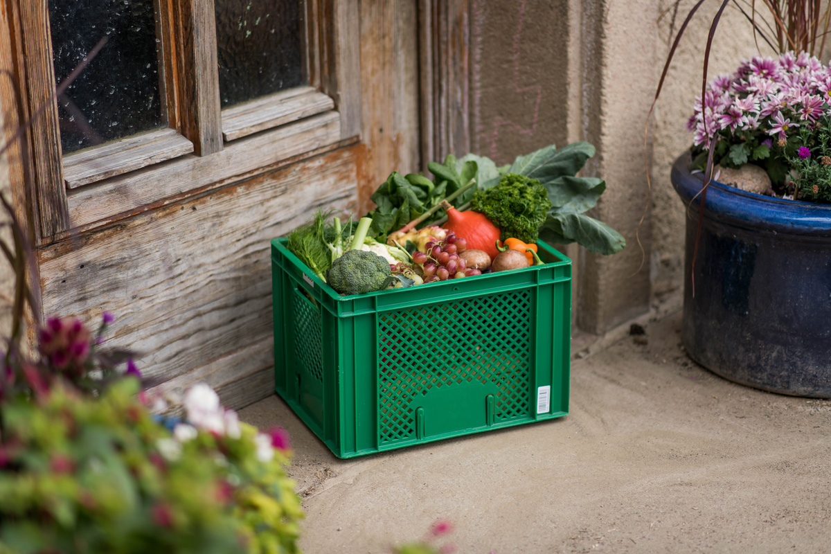 KI generiert: Das Bild zeigt eine grüne Kiste voller frischem Gemüse und Obst vor einer alten Holztür. Daneben steht ein Blumentopf mit blühenden Pflanzen.