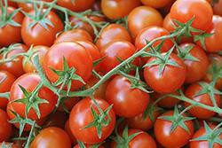 Produktfoto zu Tomaten, Cocktail