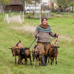 KI generiert: Auf dem Bild sind zwei Kinder zu sehen, die auf einer Wiese mit kleinen Ziegen spielen. Die Szene vermittelt Freude und Naturverbundenheit.