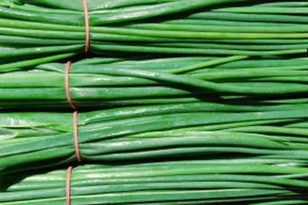 Produktfoto zu Schnittlauch HBH