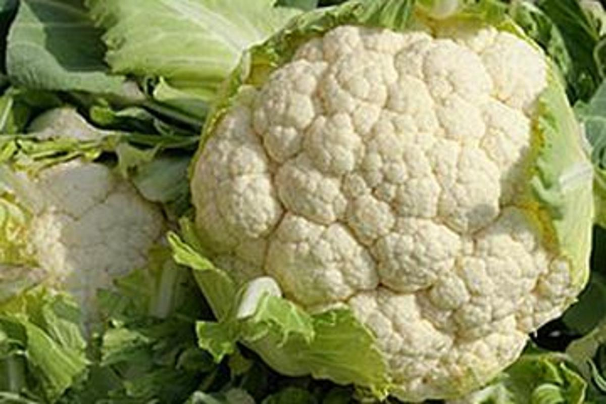 Blumenkohl