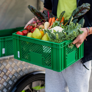 KI generiert: Eine Person hält eine grüne Kiste voller frischem Obst und Gemüse. Im Hintergrund ist ein Fahrradanhänger zu sehen.