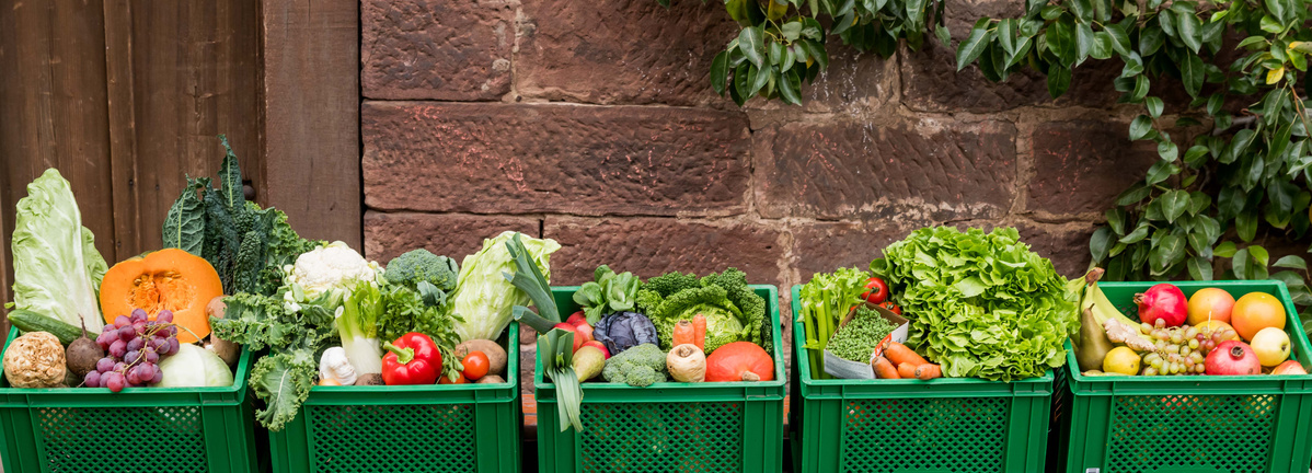 KI generiert: Grüne Kisten mit frischem Obst und Gemüse vor einer Backsteinmauer.