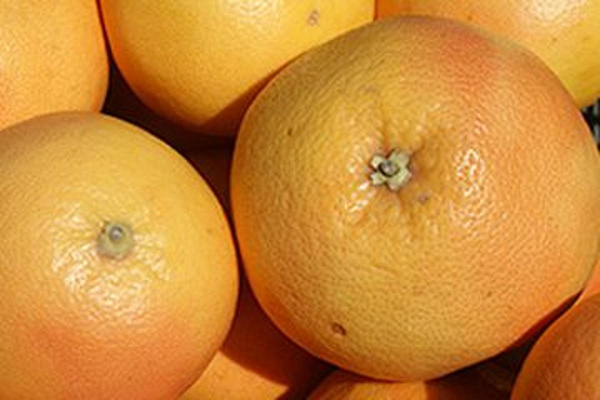 Produktfoto zu Grapefruit, kg