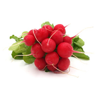 KI generiert: Ein Bündel frische, rote Radieschen mit grünen Blättern.