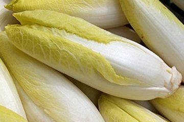 KI generiert: Frische Chicorée-Gemüse mit grünlich-gelben Spitzen in Nahaufnahme.